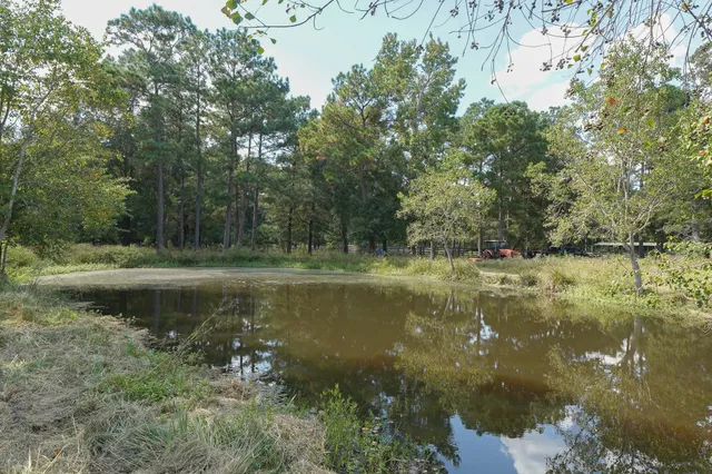 a view of a water pond with green yard