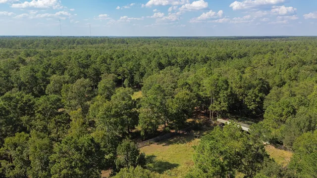 a view of a green field with lots of bushes