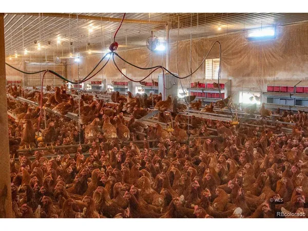 $1,500,000 | 3850 County Road 129, Westcliffe, CO 81252