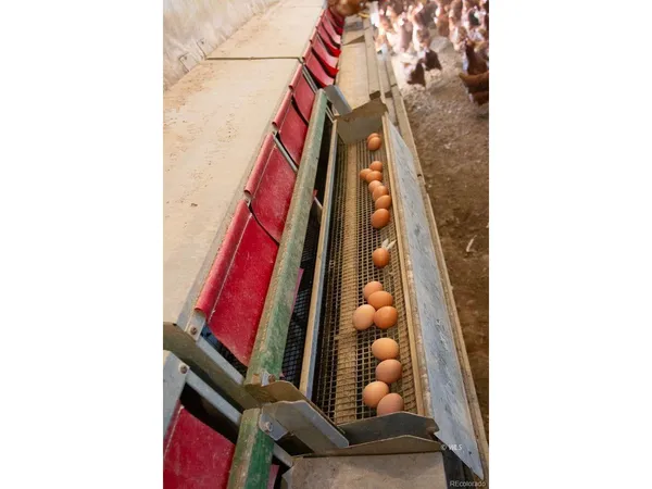 $1,500,000 | 3850 County Road 129, Westcliffe, CO 81252