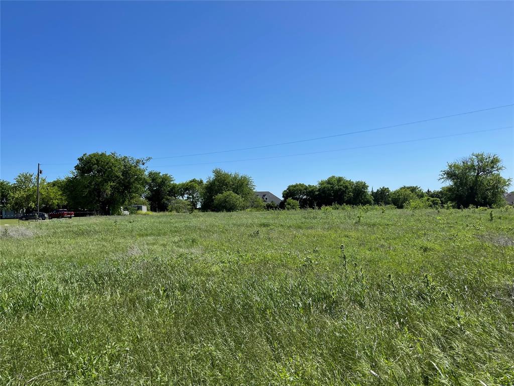 0 Mc Alpin Road Midlothian, TX 76065 - Photo 10 of 22 a view of a big yard with green space
