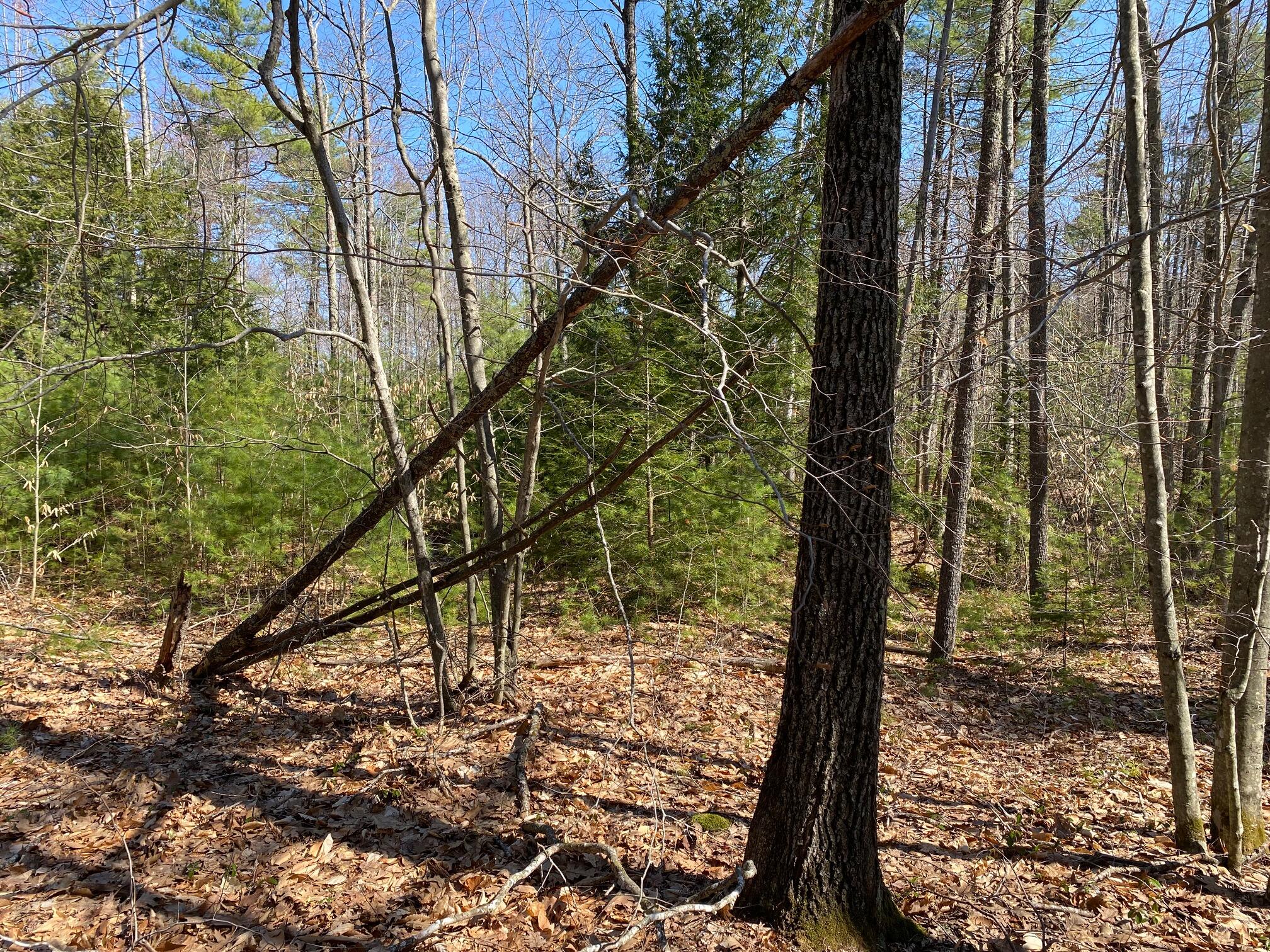 175 Dow Road Standish, ME 04084 - Photo 3 of 10 IMG_1249