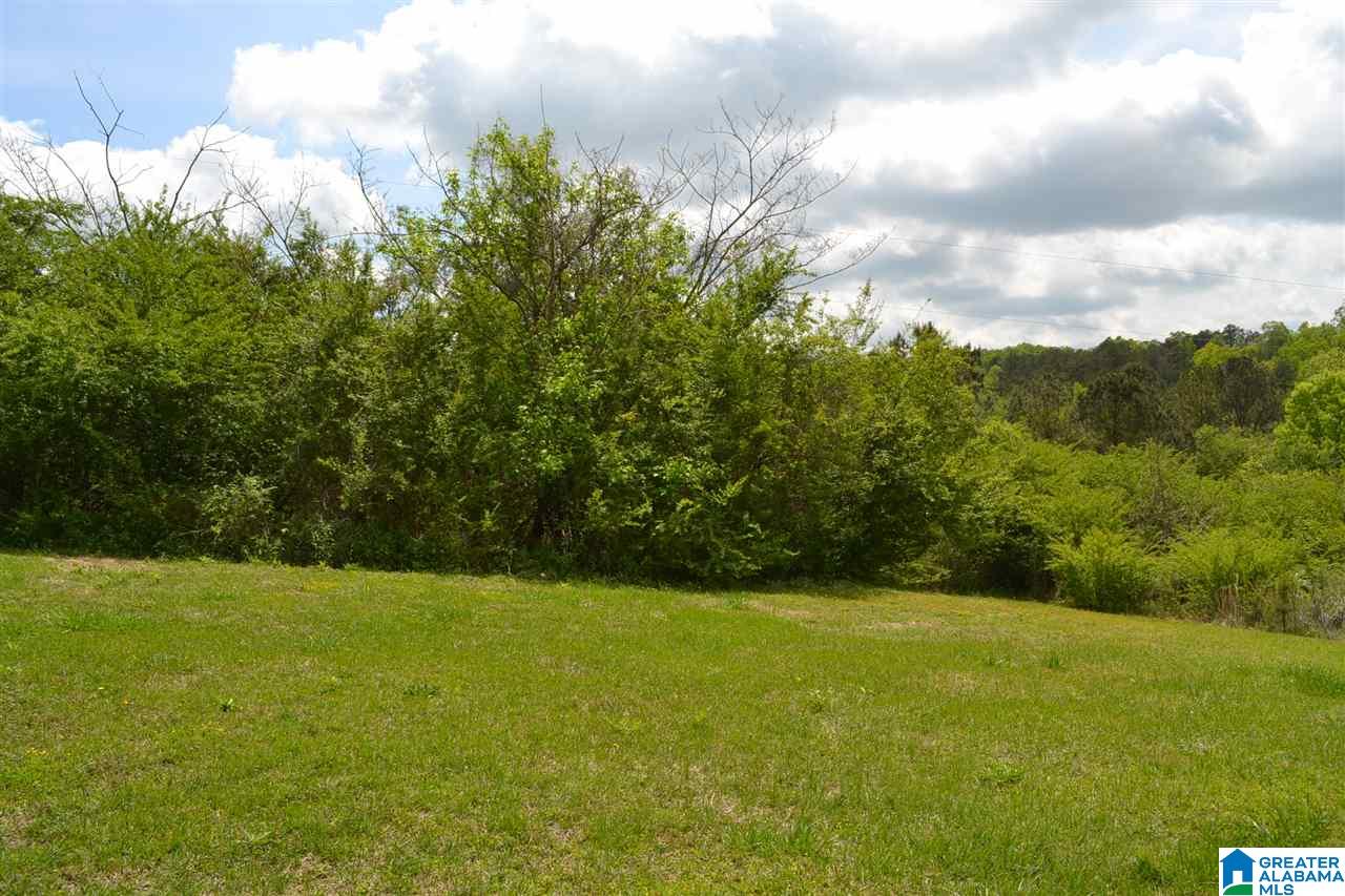 4385 Ebell Road Oneonta, AL 35121 - Photo 9 of 12 Gallery Image 9