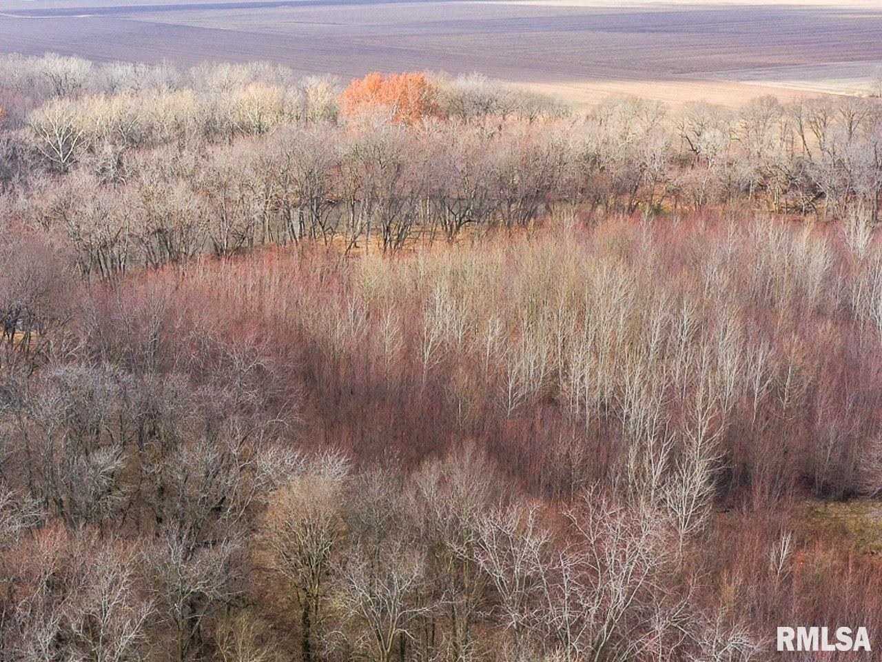 1 Creek Road Kenney, IL 61749 - Photo 12 of 50