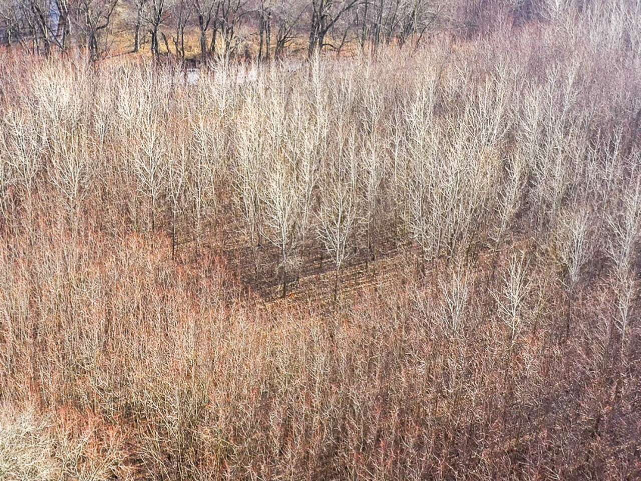 1 Creek Road Kenney, IL 61749 - Photo 19 of 50