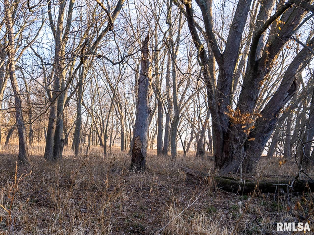 1 Creek Road Kenney, IL 61749 - Photo 35 of 50