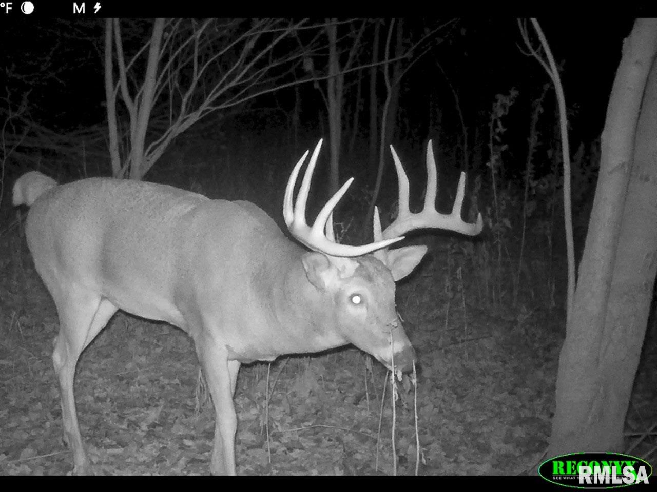 1 Creek Road Kenney, IL 61749 - Photo 47 of 50