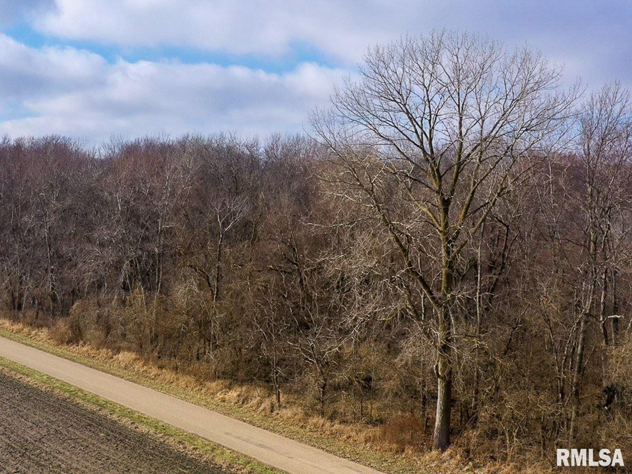 1 Creek Road Kenney, IL 61749 - Photo 5 of 50