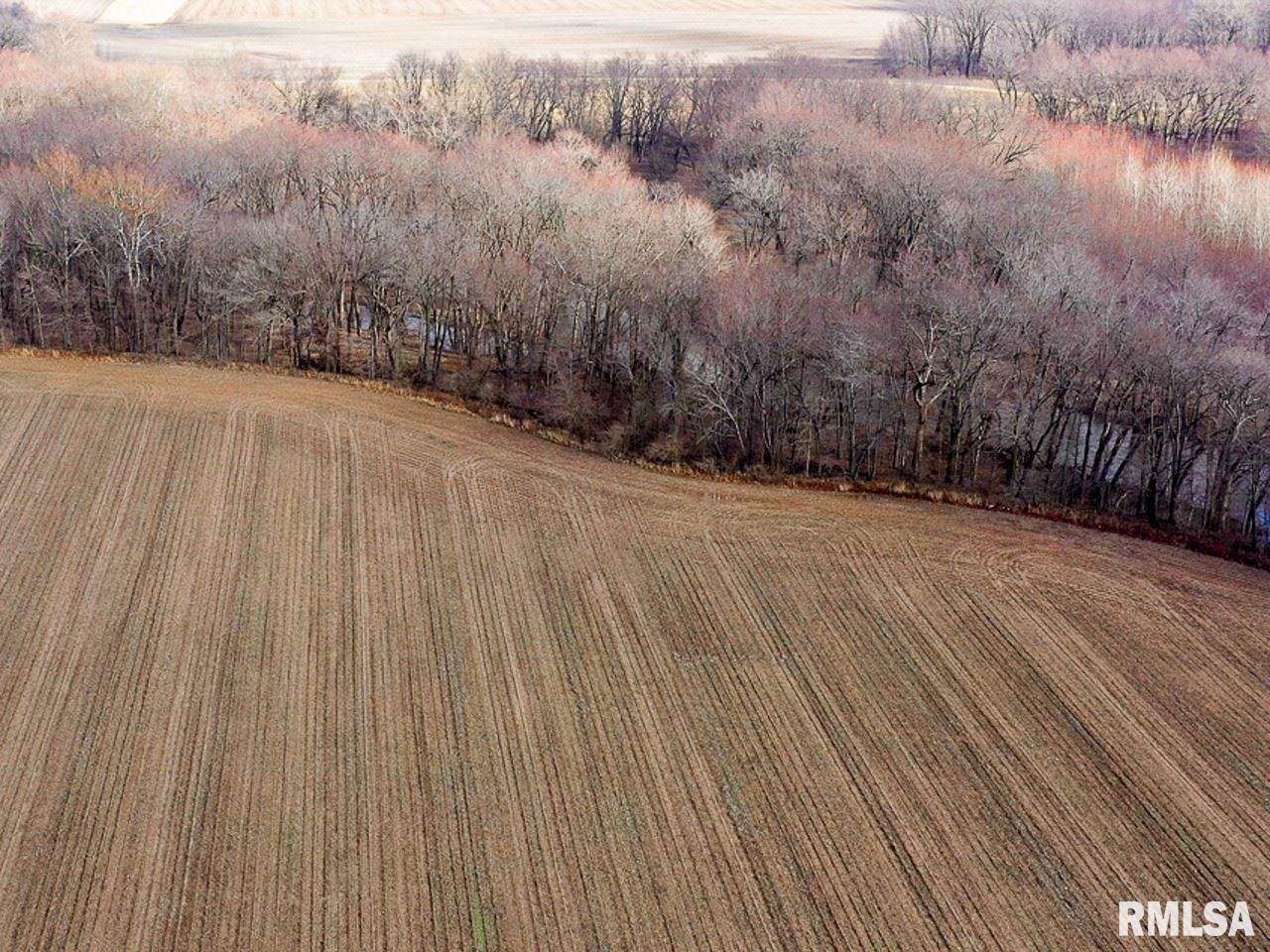 1 Creek Road Kenney, IL 61749 - Photo 6 of 50