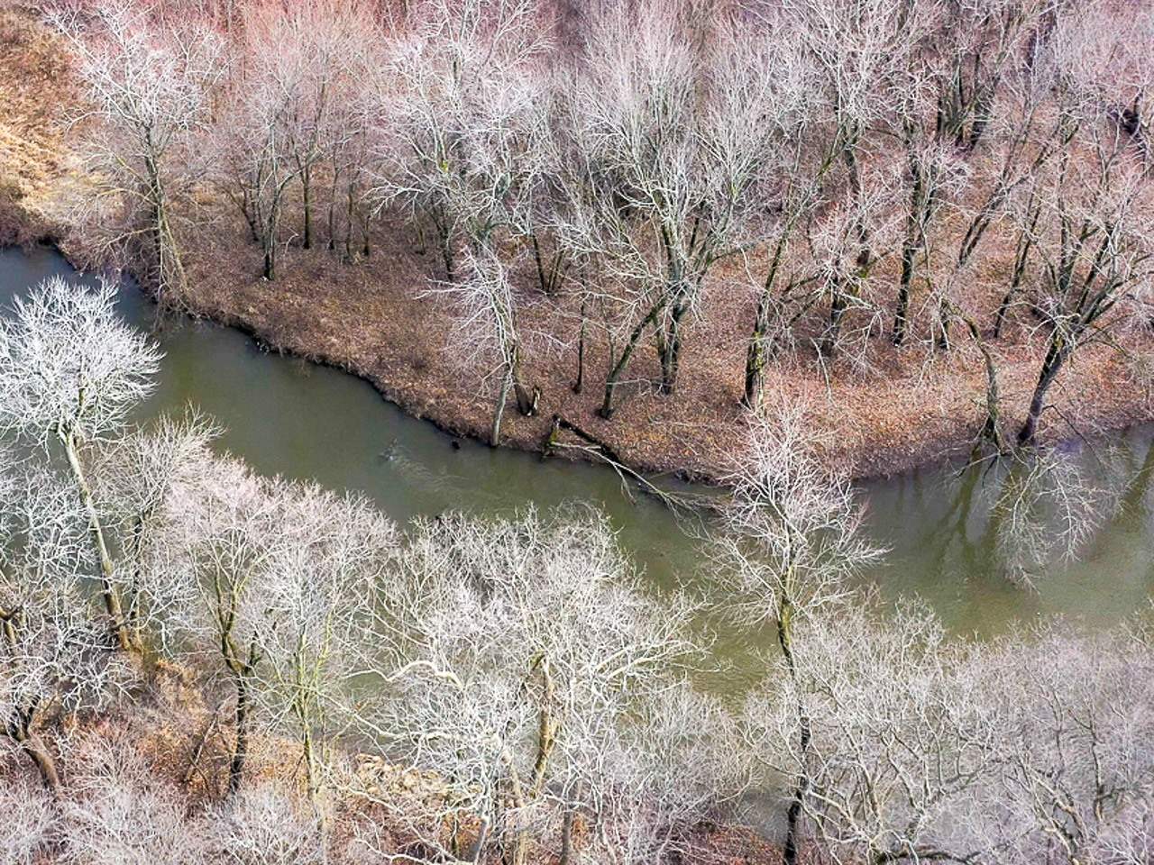 1 Creek Road Kenney, IL 61749 - Photo 8 of 50
