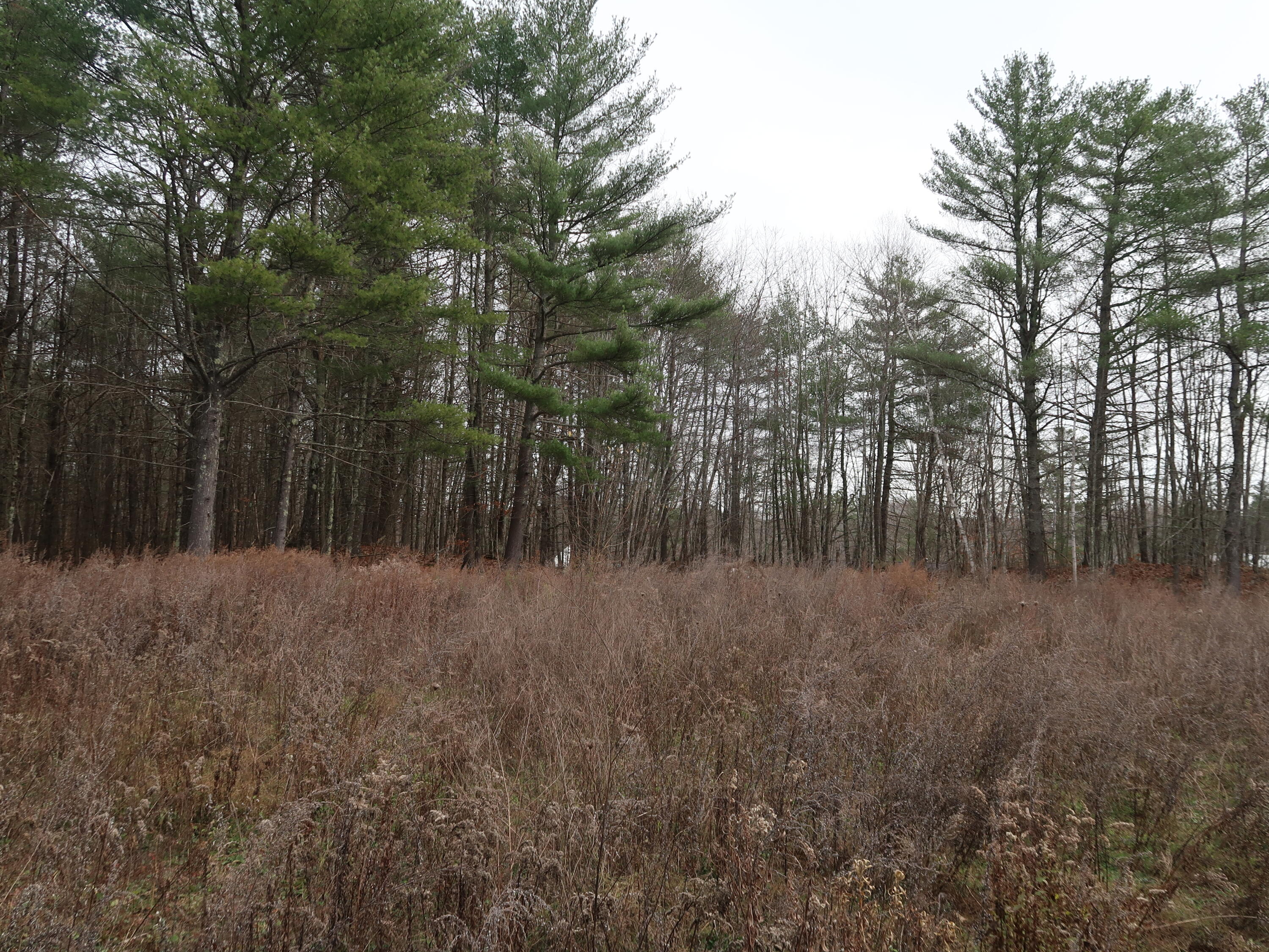 614 Windsor Road Augusta, ME 04330 - Photo 23 of 56 IMG_0279