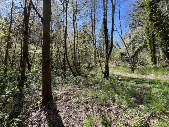 $339,000 | Ns, Forest Grove, OR 97116