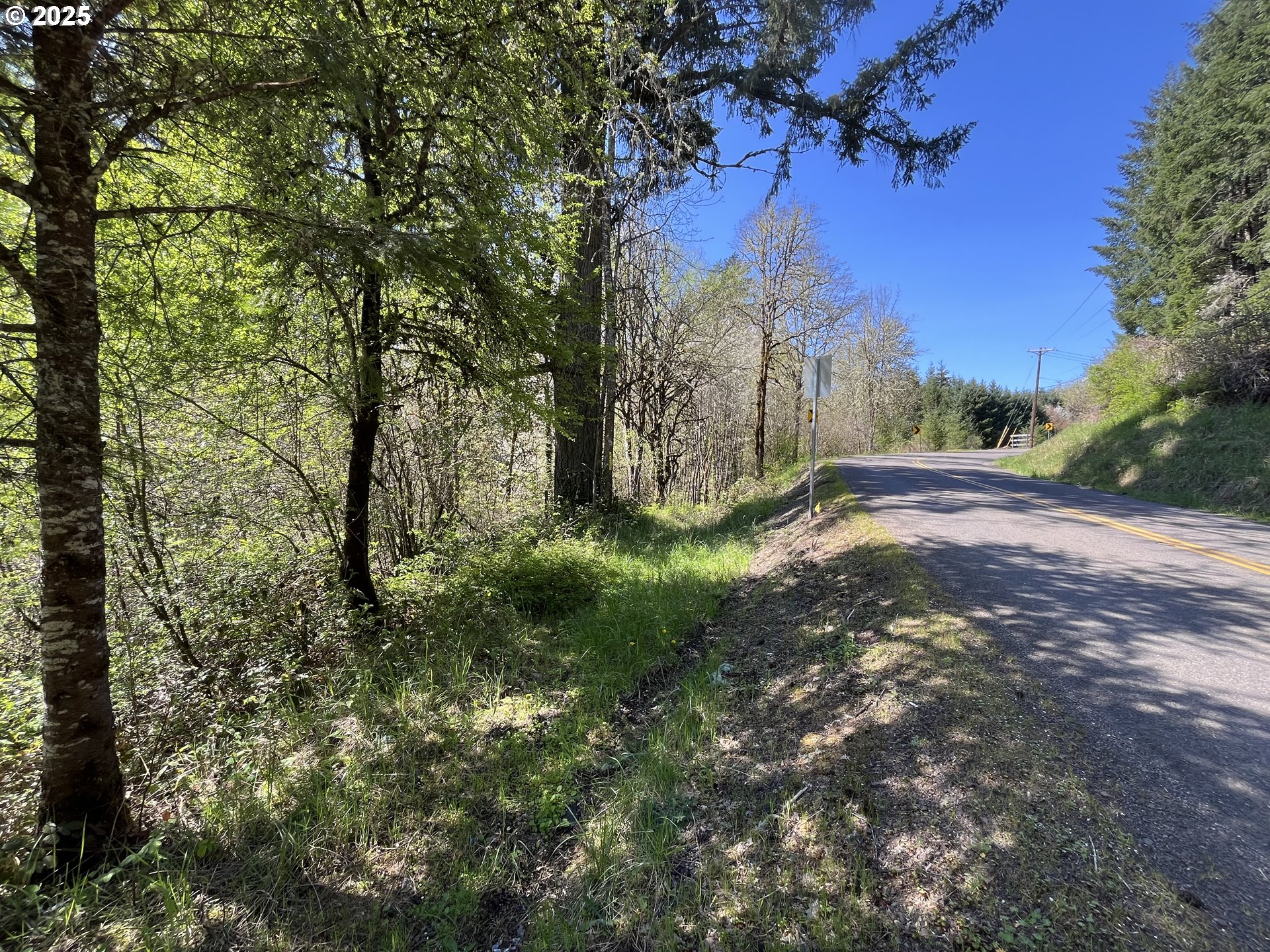 Ns Forest Grove, OR 97116 - Photo 4 of 12 a big yard with lots of green space