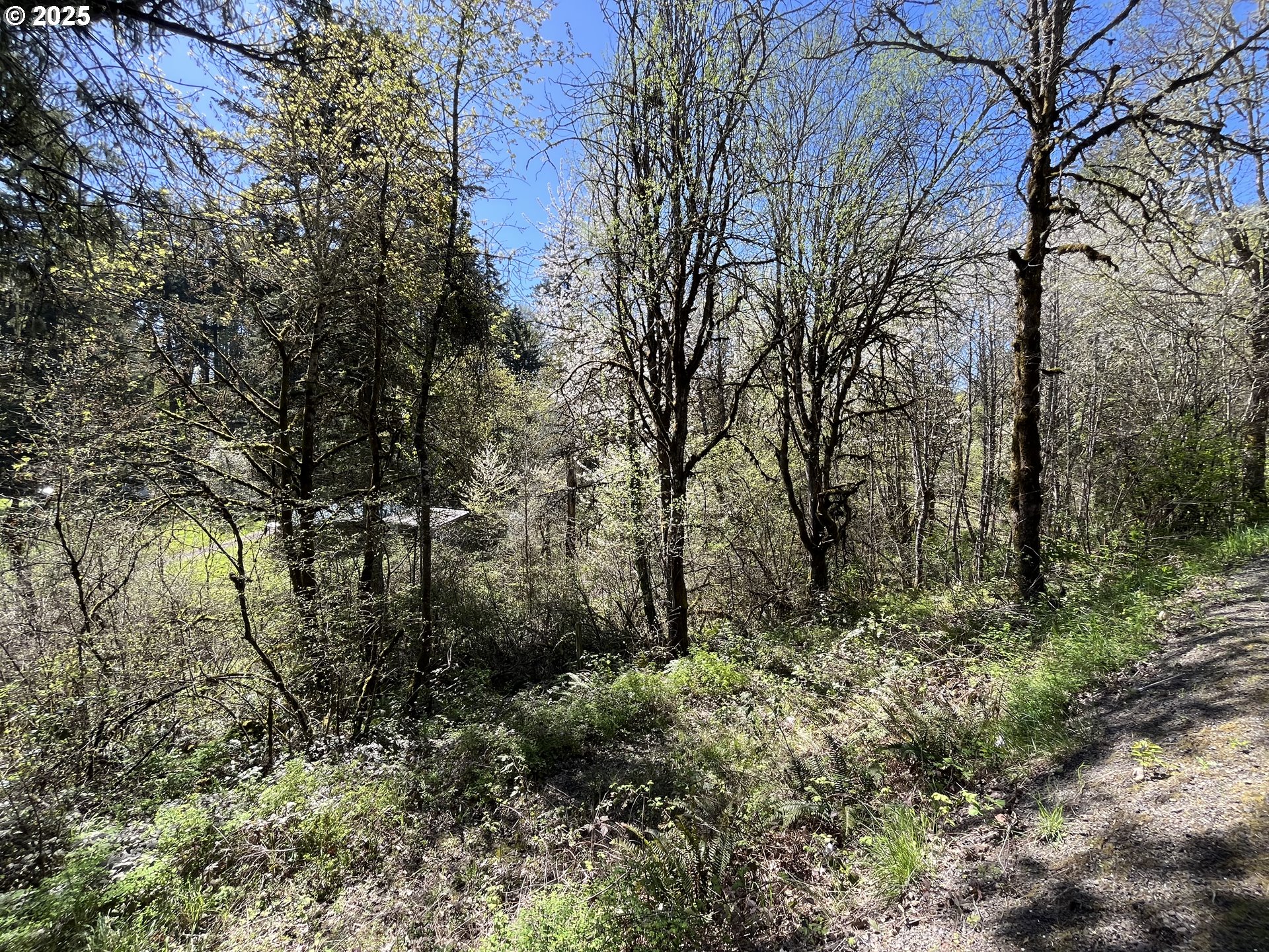 Ns Forest Grove, OR 97116 - Photo 5 of 12