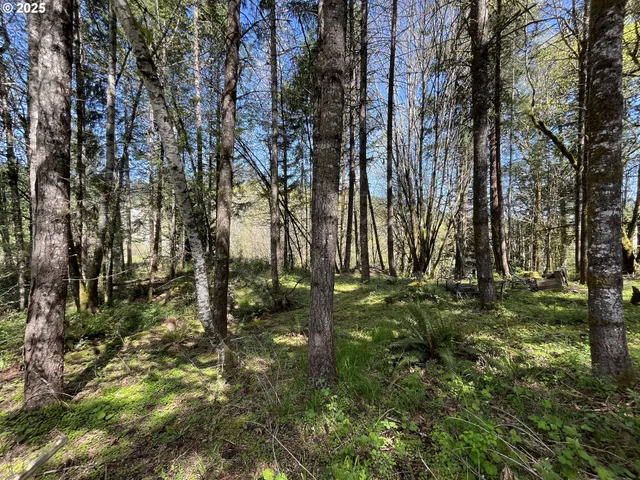 a backyard of a building with lots of trees