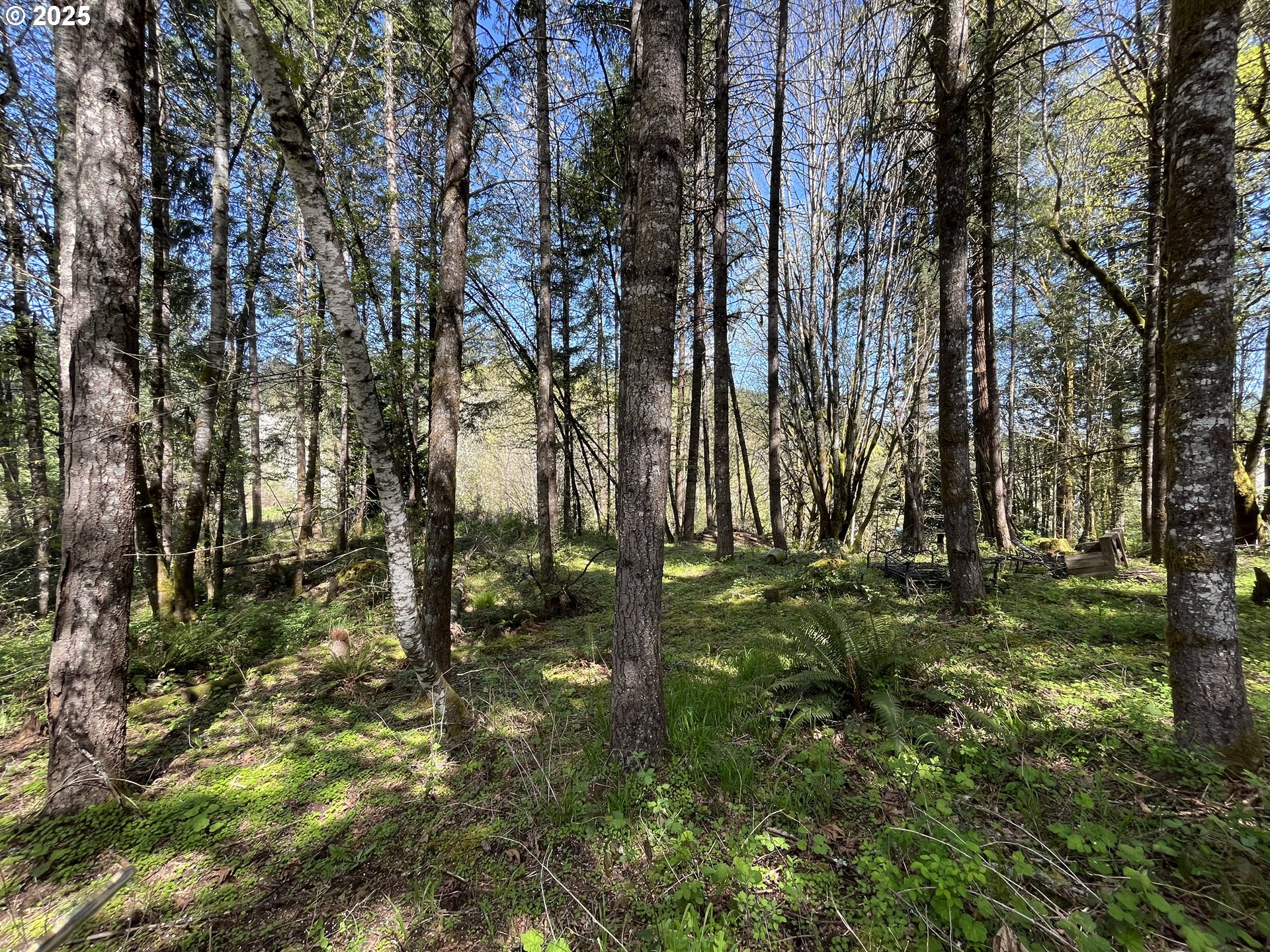 Ns Forest Grove, OR 97116 - Photo 6 of 12 a view of yard