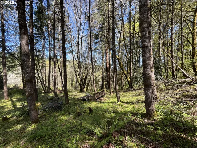 a view of a yard with a tree