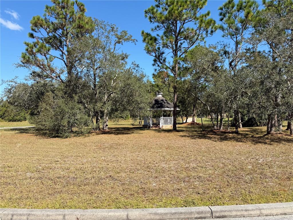 4289 Lordings Lane Spring Hill, FL 34607 - Photo 2 of 7 a view of road with trees