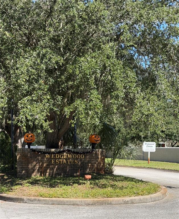 4289 Lordings Lane Spring Hill, FL 34607 - Photo 3 of 7 a view of a yard