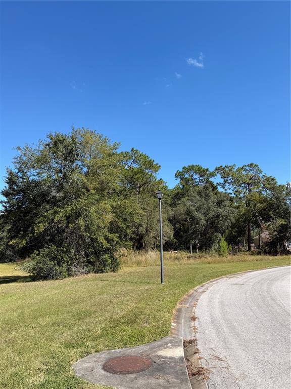 4289 Lordings Lane Spring Hill, FL 34607 - Photo 4 of 7 a view of a park