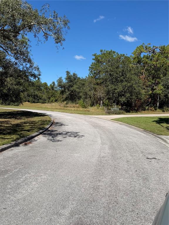 4289 Lordings Lane Spring Hill, FL 34607 - Photo 5 of 7 a view of a lake and mountain