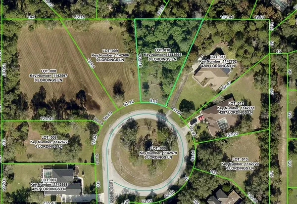 an aerial view of a house with a swimming pool