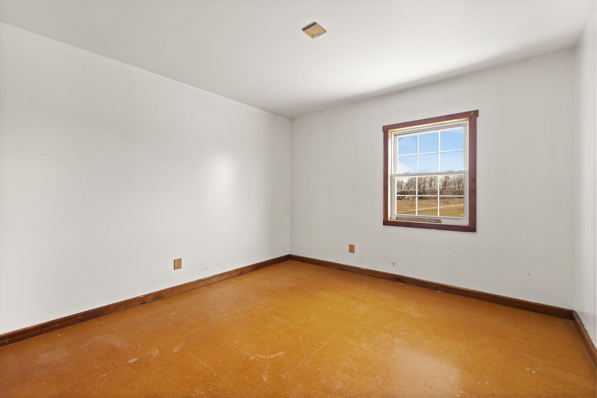 966 Oak Ridge Road Tollesboro, KY 41189 - Photo 44 of 77 41-web-or-mls-118A0357