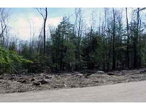 7 B Dean Road Danbury, NH 03230 - Photo 3 of 6 Gallery Image 3
