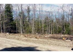 7 B Dean Road Danbury, NH 03230 - Photo 5 of 6 Gallery Image 5