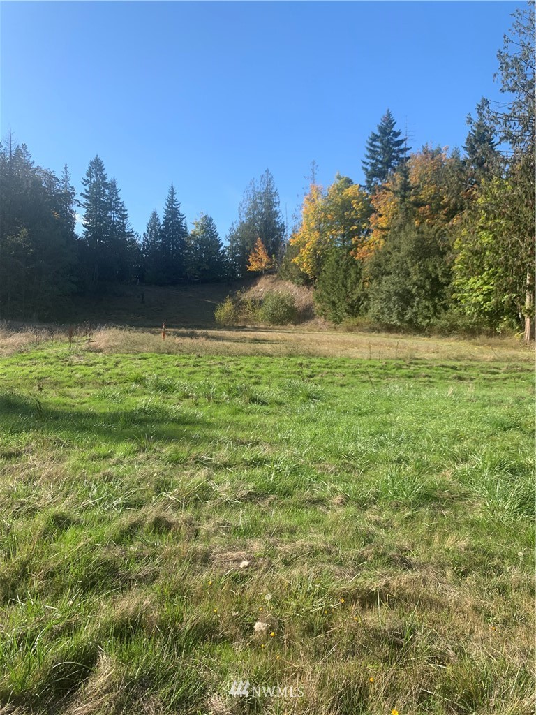 1802 South Golf Course Road Port Angeles, WA 98362 - Photo 11 of 17 Gallery Image 11