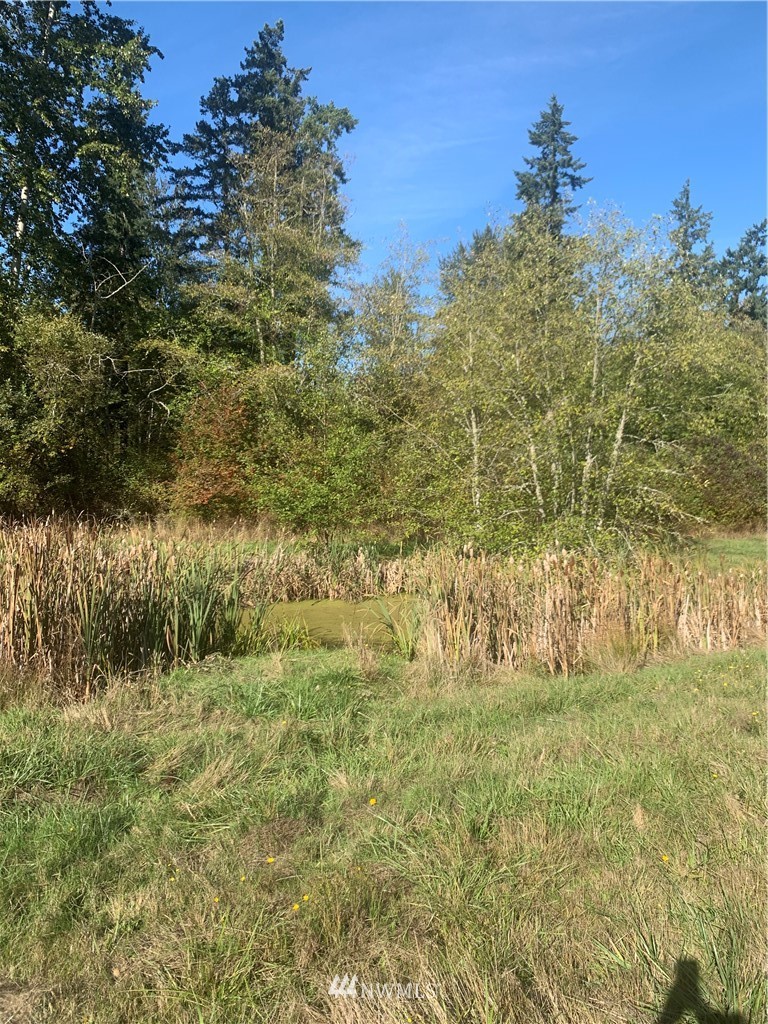 1802 South Golf Course Road Port Angeles, WA 98362 - Photo 10 of 17 Gallery Image 10