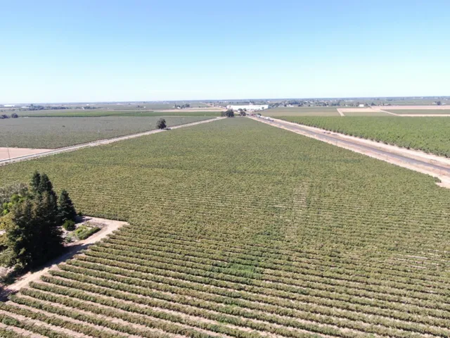 $1,075,000 | 4175 West Sargent Road, Lodi, CA 95242