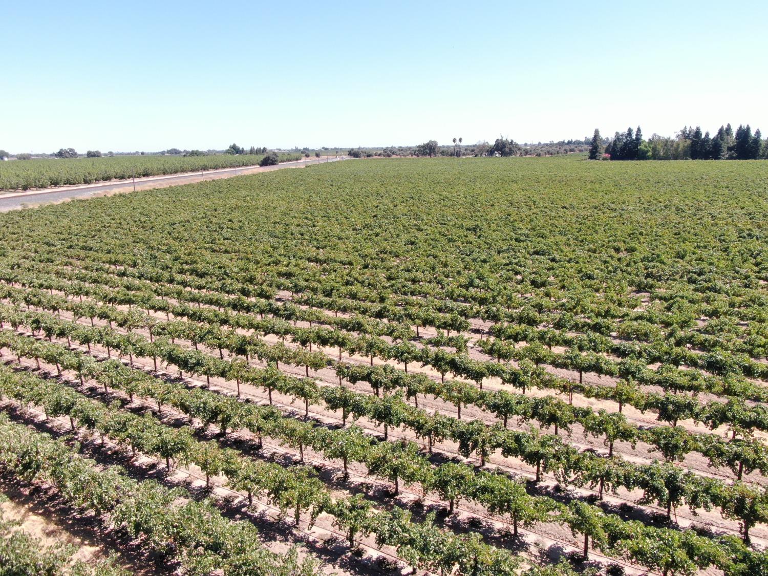 4175 West Sargent Road Lodi, CA 95242 - Photo 2 of 5