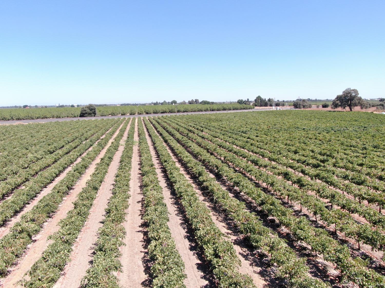 4175 West Sargent Road Lodi, CA 95242 - Photo 4 of 5