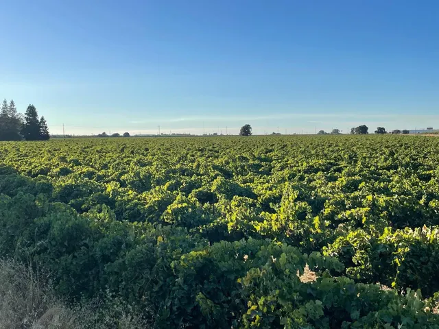 $1,075,000 | 4175 West Sargent Road, Lodi, CA 95242