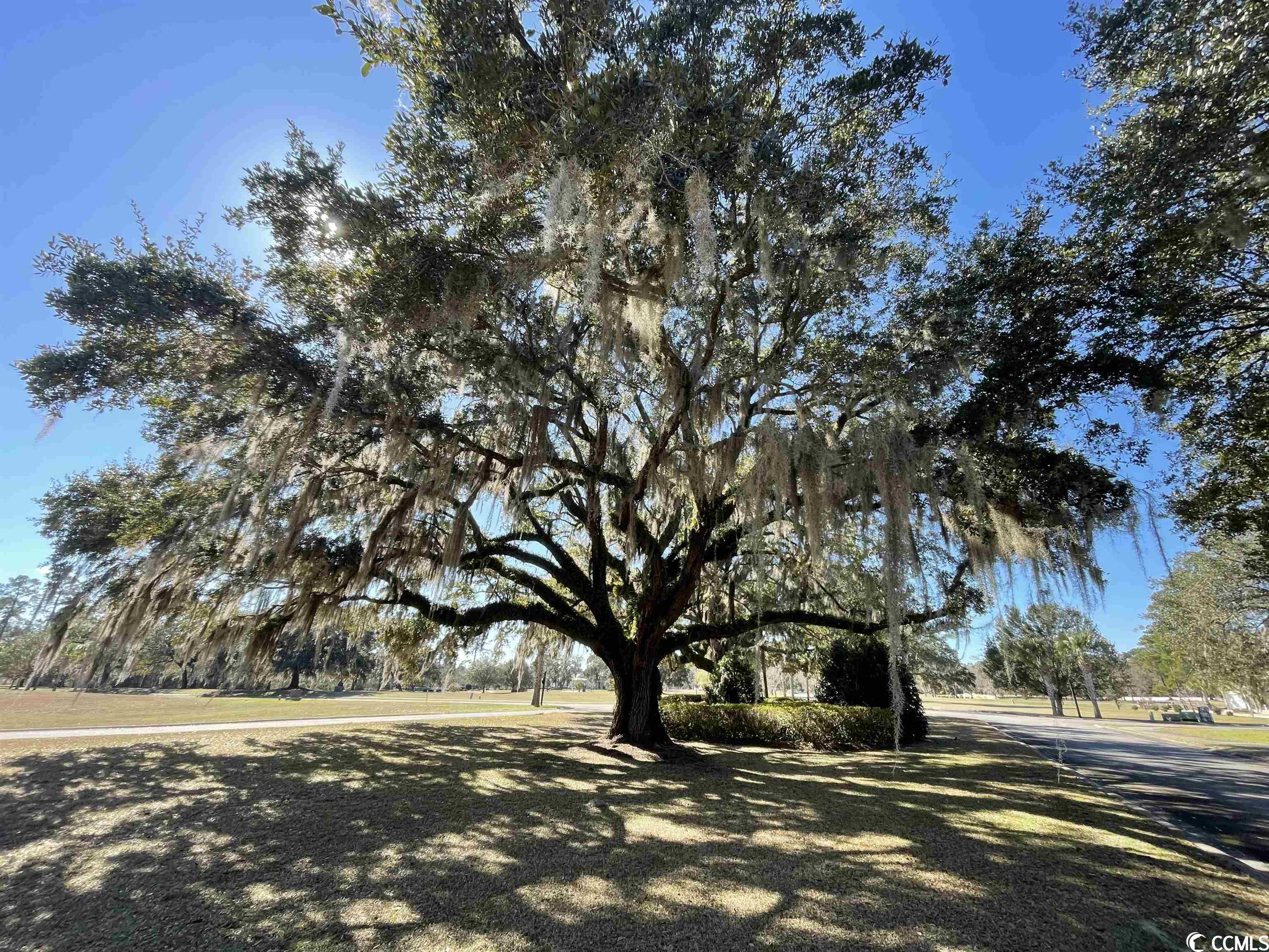 177 Commanders Island Road Georgetown, SC 29440 - Photo 30 of 35 Gallery Image 30