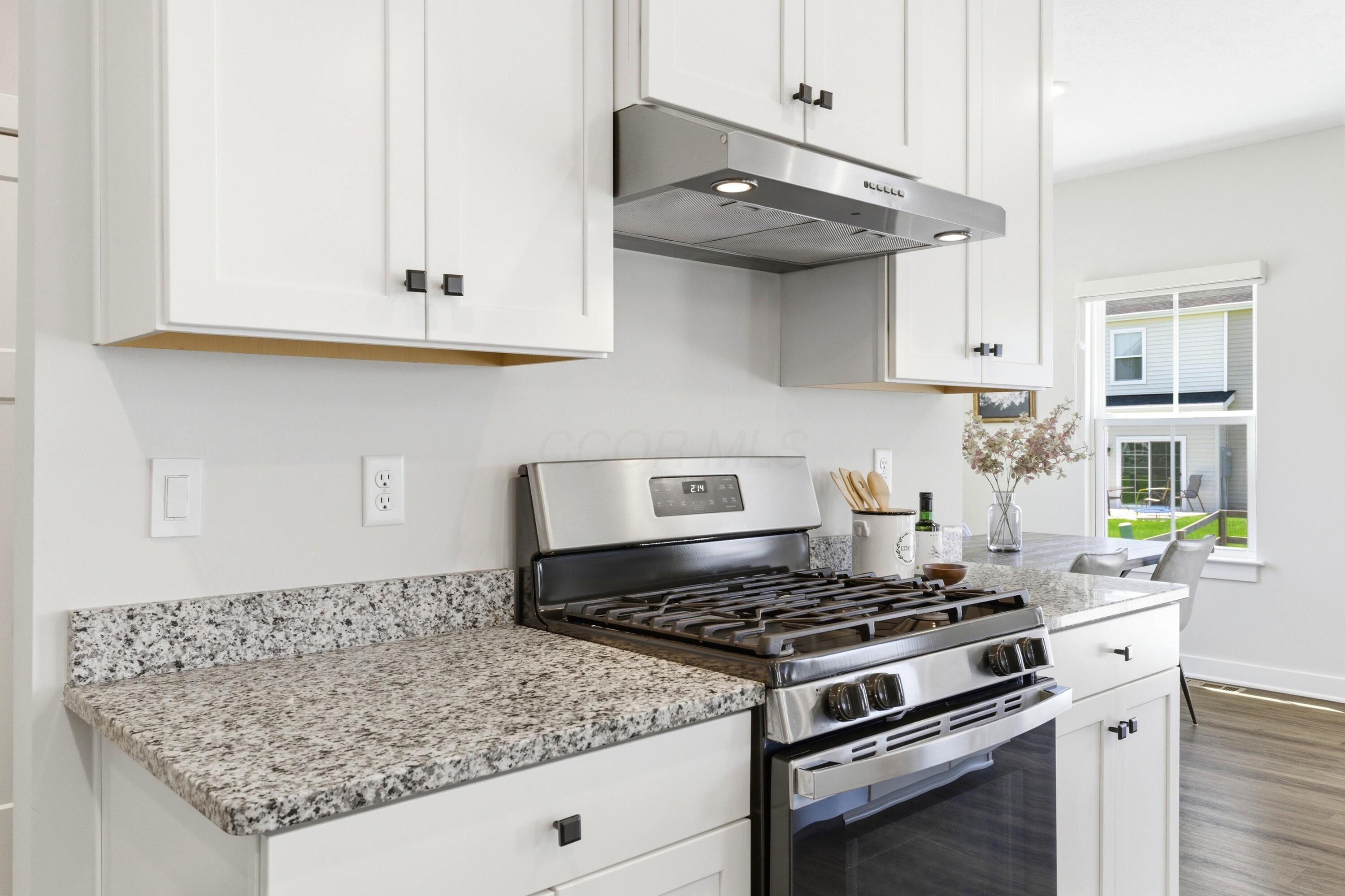 124 Steeplechase Street Delaware, OH 43015 - Photo 24 of 64 Kitchen