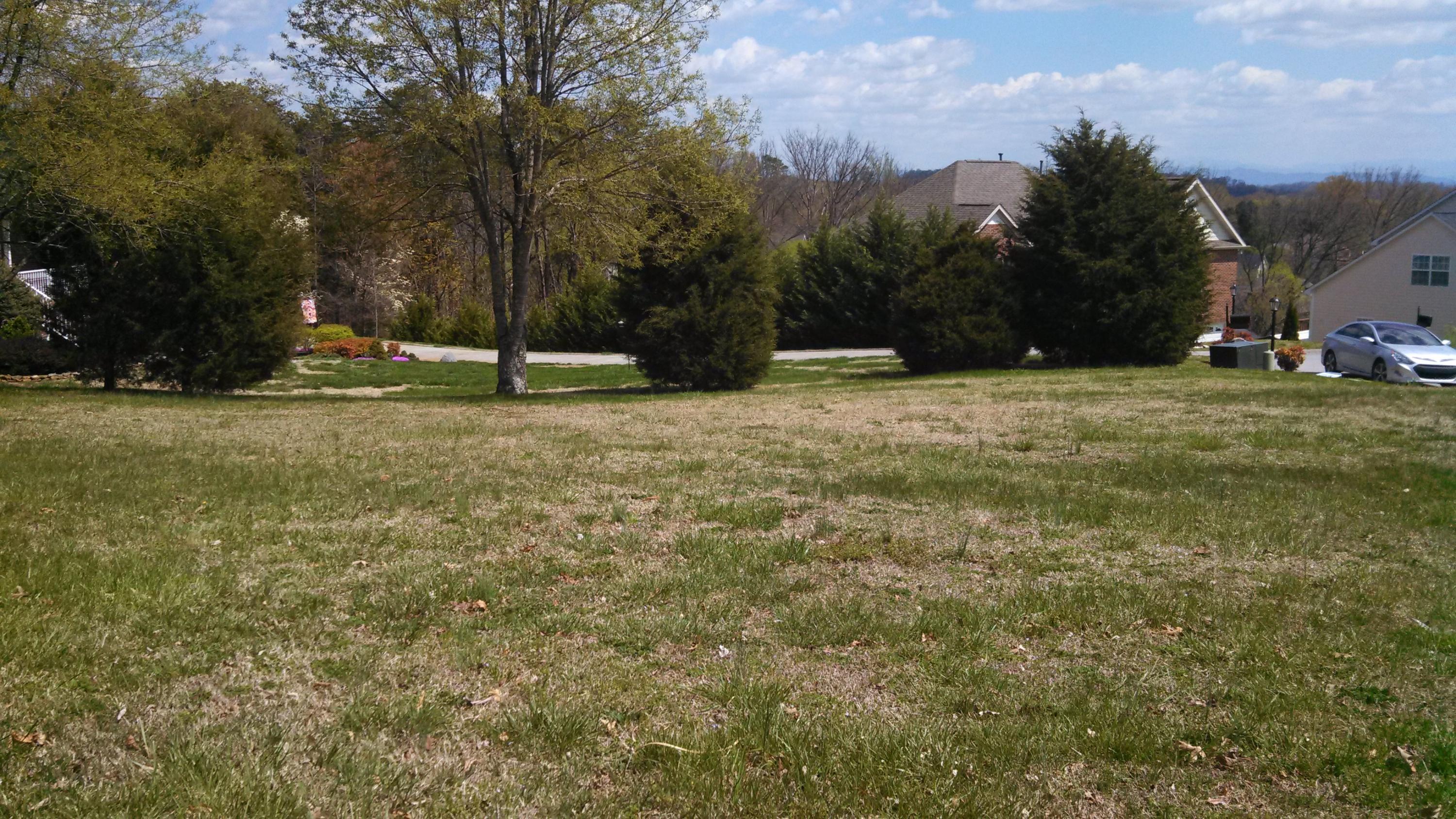 1805 Falling Waters Road Knoxville, TN 37922 - Photo 3 of 6 Quiet Neighborhood and Private Lot