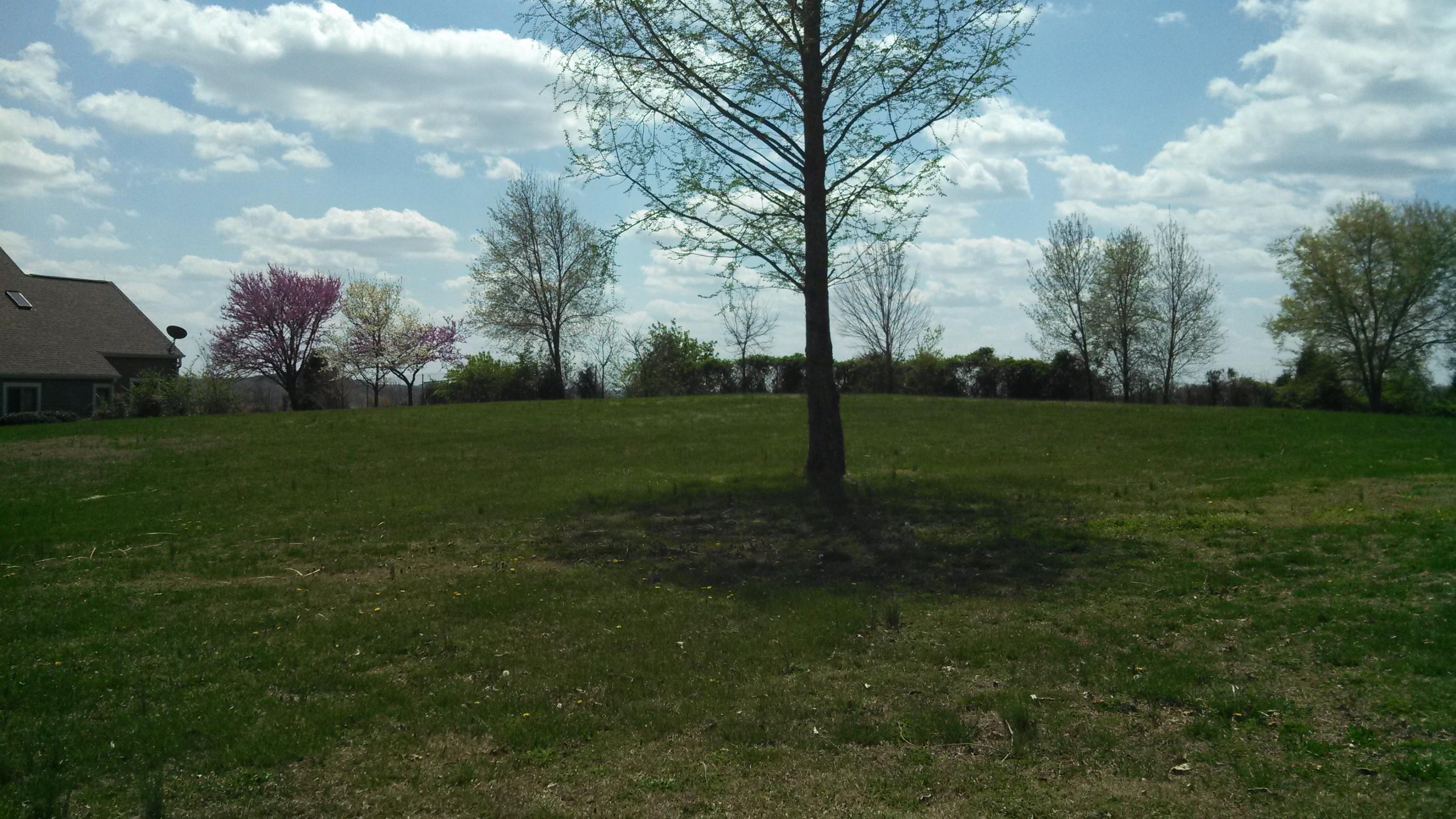 1805 Falling Waters Road Knoxville, TN 37922 - Photo 5 of 6 Large Double Size Lot