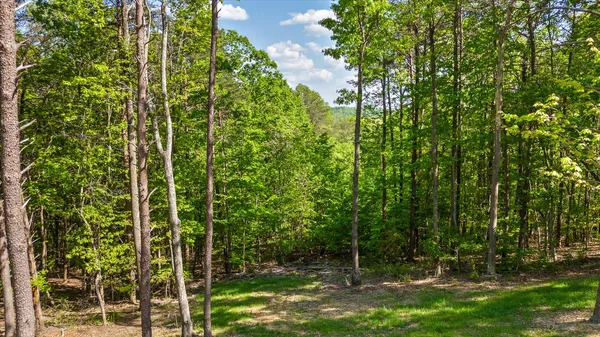 $1,400,000 | 221 Lookout Crest Lane, Lookout Mountain, GA 30750