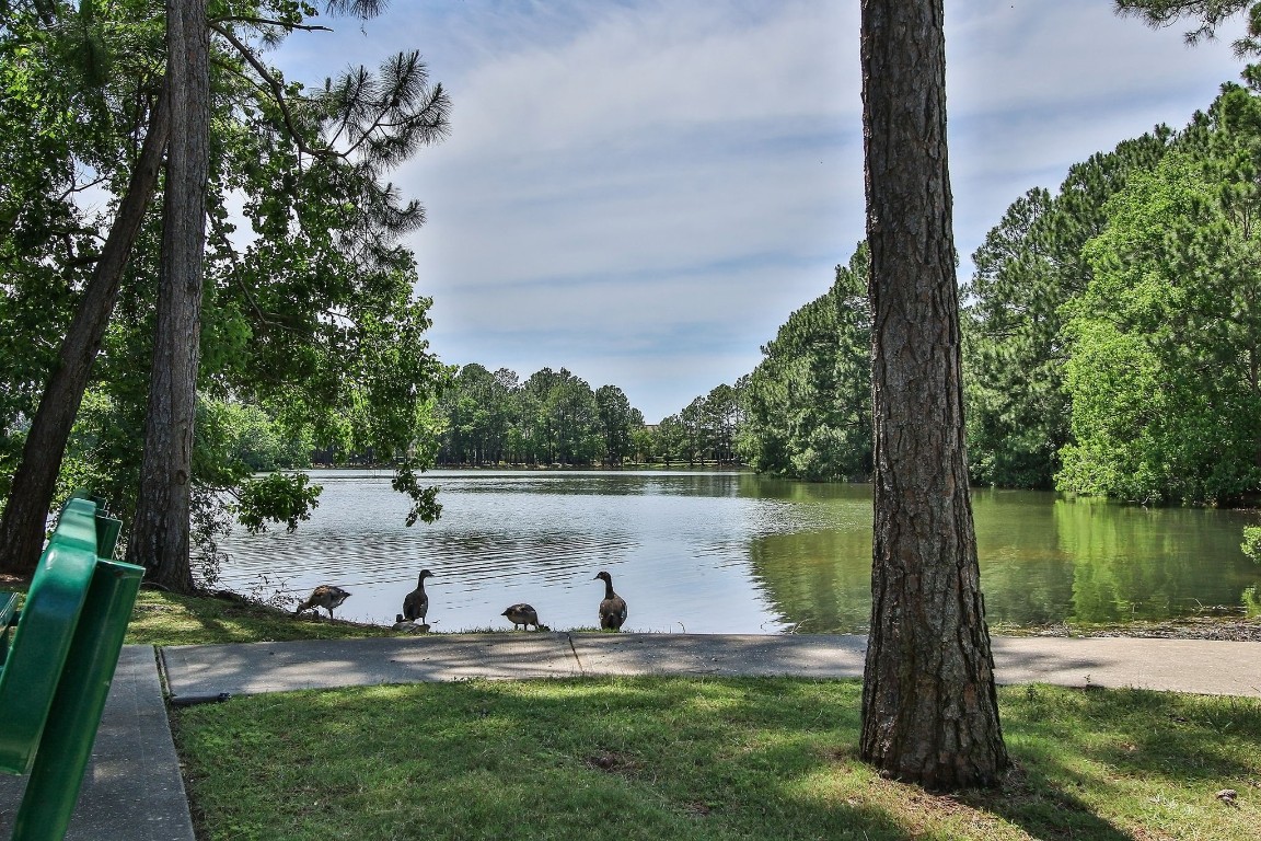 20410 Misty Crossing Lane Spring, TX 77379 - Photo 38 of 50 This lakeside view with lush greenery and a few ducks near the water. The setting is peaceful, offering a perfect spot for relaxation or leisurely walks.