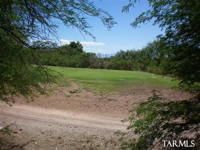 8520 East Desert Spring Street Tucson, AZ 85730 - Photo 7 of 12