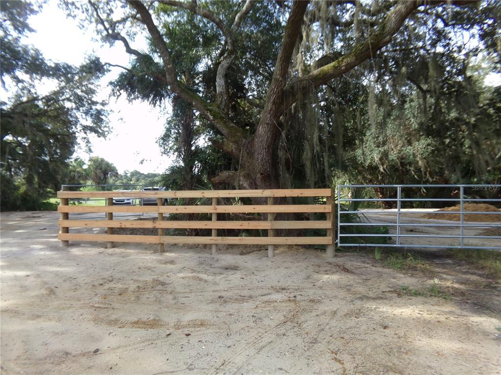 a view of backyard with wooden fence and a large tree