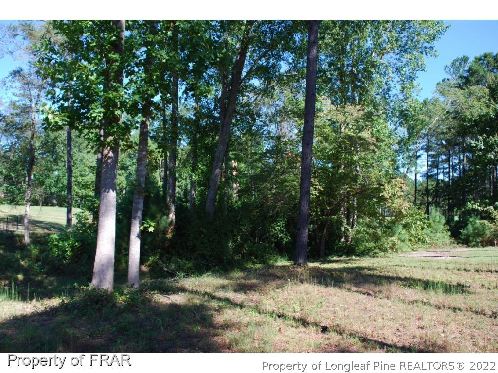 335 Barons (449) Run Spring Lake West Spring Lake, NC 28390 - Photo 6 of 22 a view of outdoor space and yard