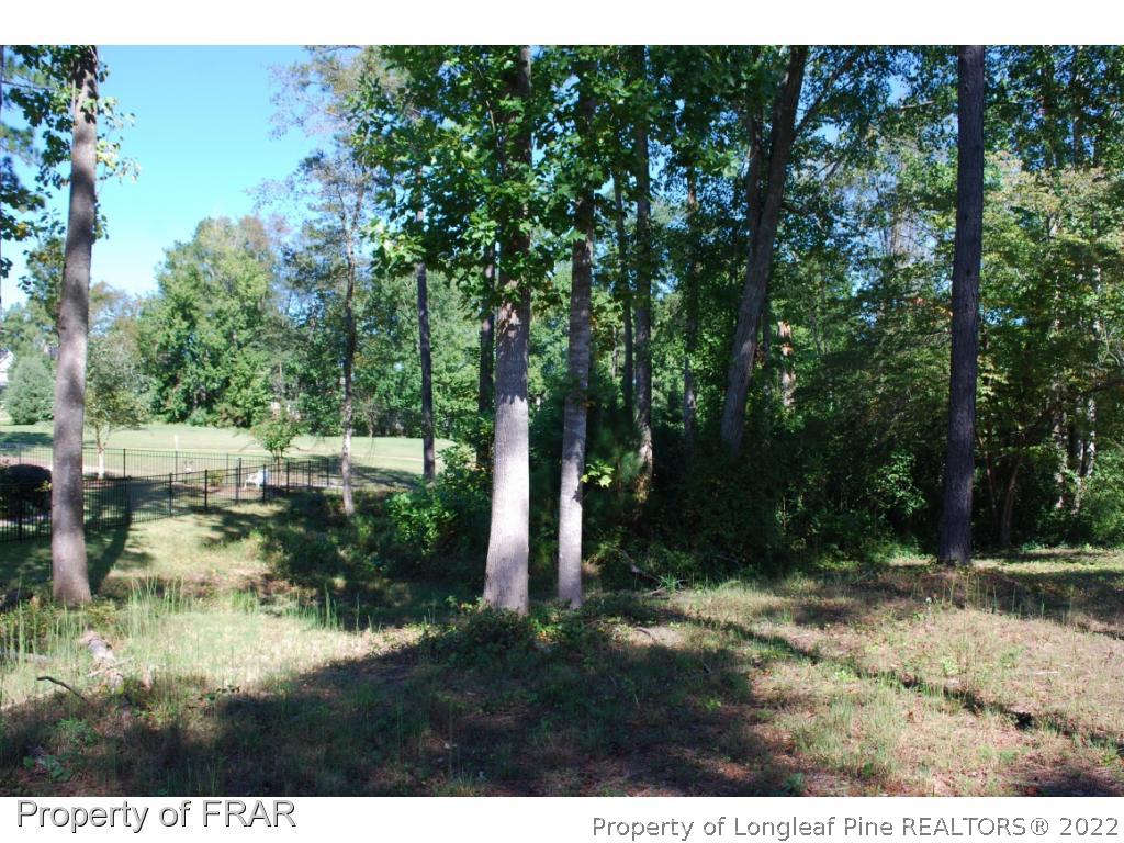335 Barons (449) Run Spring Lake West Spring Lake, NC 28390 - Photo 7 of 22 a view of backyard with green space