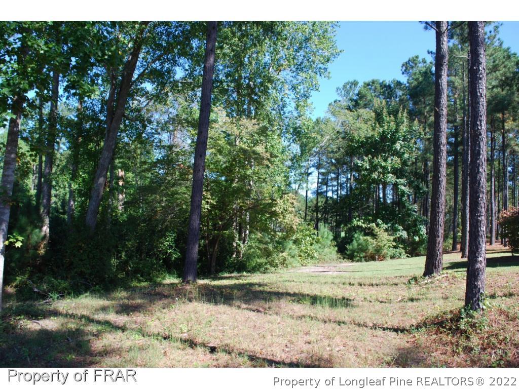 335 Barons (449) Run Spring Lake West Spring Lake, NC 28390 - Photo 8 of 22 a view of outdoor space and yard