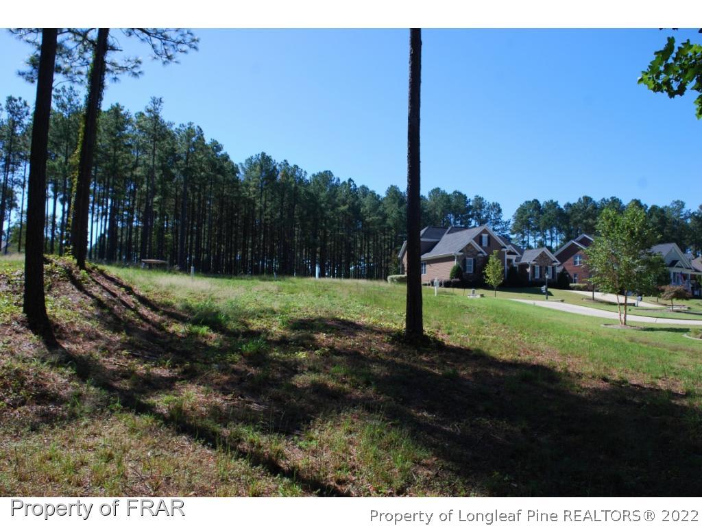 335 Barons (449) Run Spring Lake West Spring Lake, NC 28390 - Photo 9 of 22 a view of a park