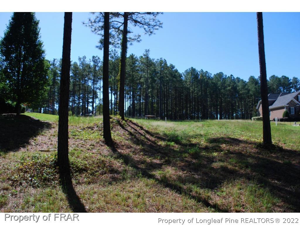335 Barons (449) Run Spring Lake West Spring Lake, NC 28390 - Photo 10 of 22 a view of a park