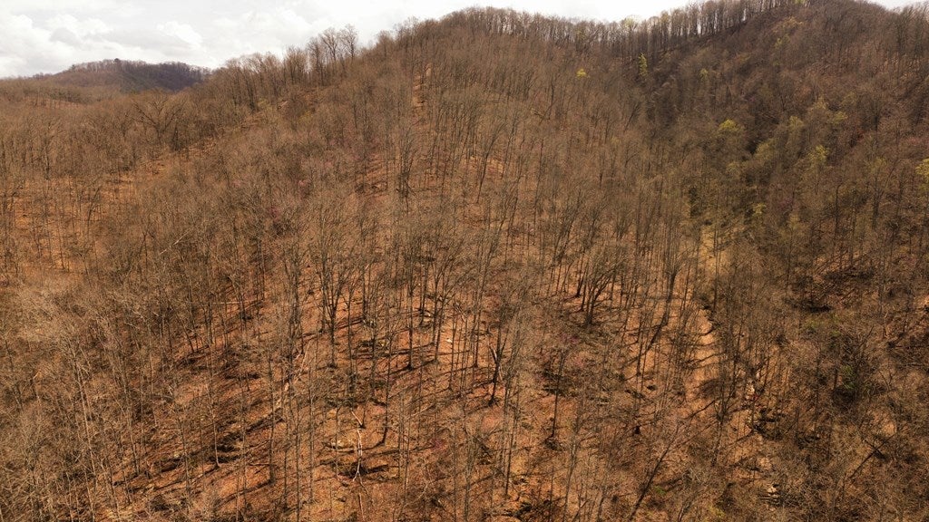 Tbd Caney Valley Road Bristol, VA 24202 - Photo 13 of 23 Gallery Image 13