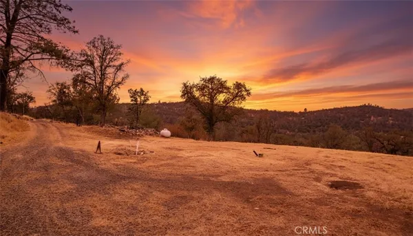a view of outdoor space with trees